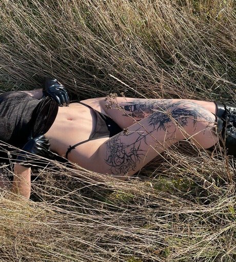 Blairdahlia top star photo