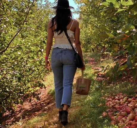 kastaclysm joli modèle galerie