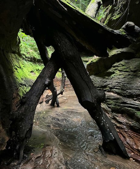 Madylina Renee beau modèle collection