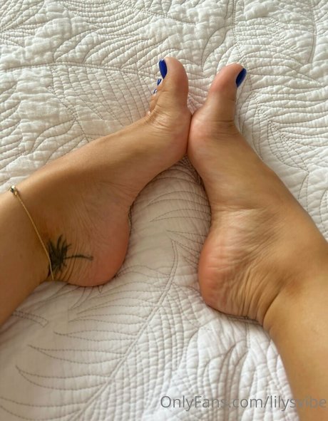 lilysvibe jolie star du porno collection