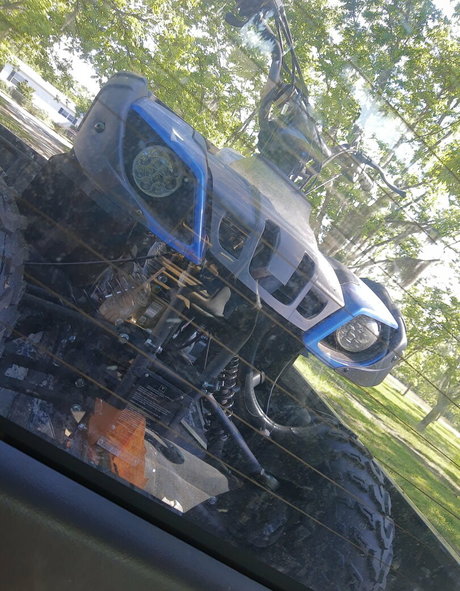 xxhannahhaysxx étoile de l'art image