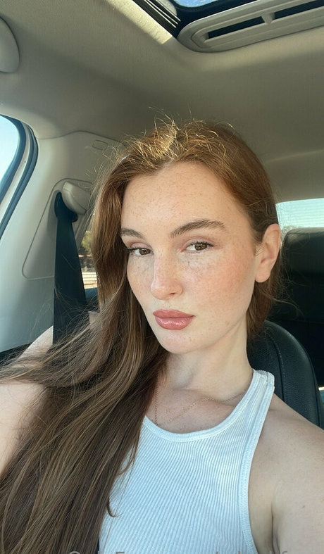 zdankfree joli modèle galerie