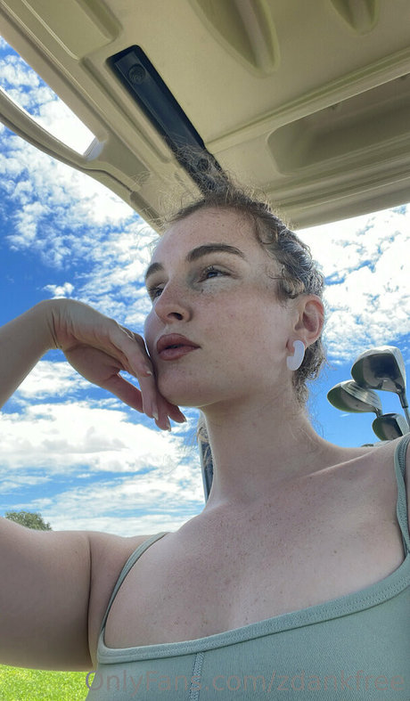 zdankfree haut étoile galeries