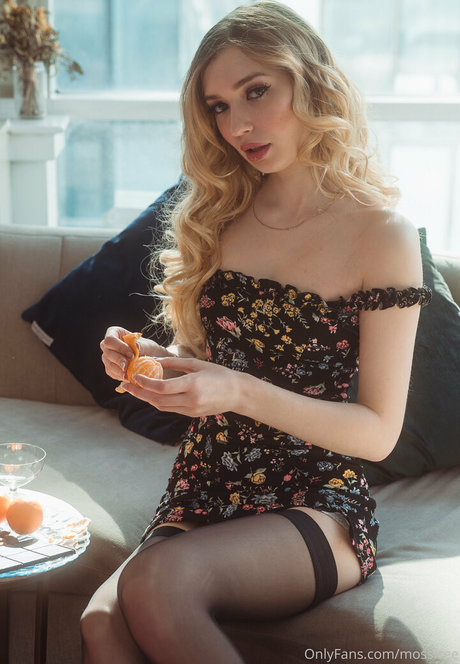 mossfree étoile de haute qualité img