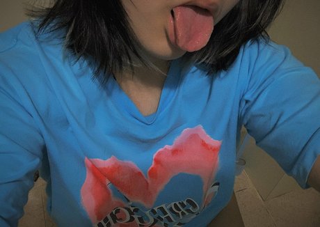 cvnt030 star exclusive collection