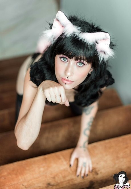 Felline SG star du porno hd image