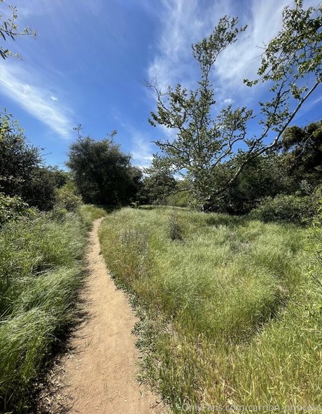 carrion princess star du sexe archive