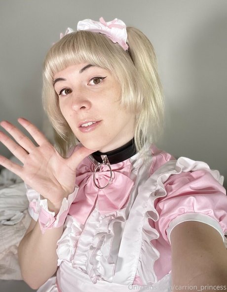 carrion princess art de star du porno img