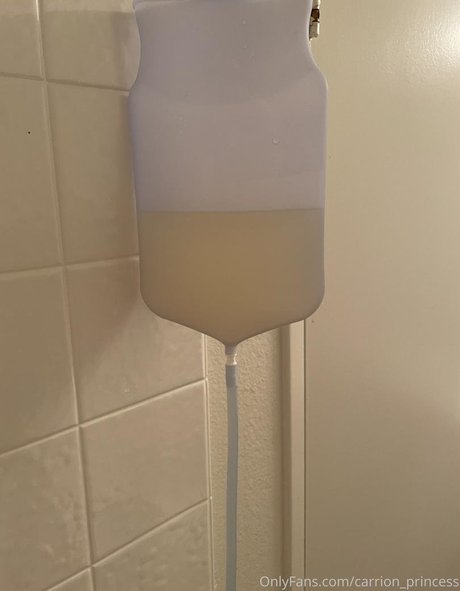 carrion princess modèle artistique collection