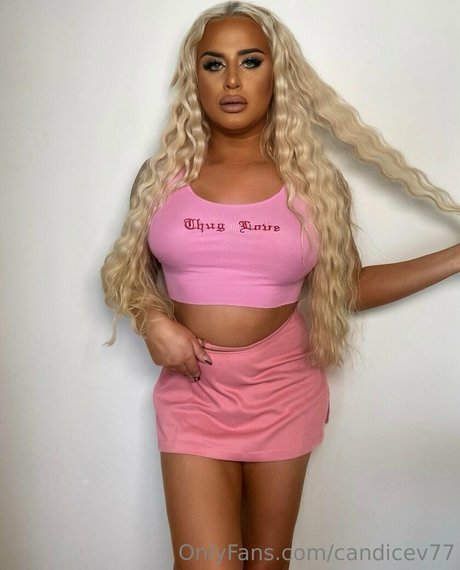 fans faits maison uniquement top magnifique photos