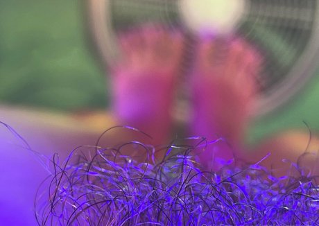 gtslongpiggies modèle gratuit des photos