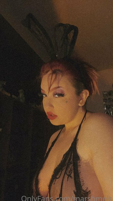 marshmels modèle meilleur image