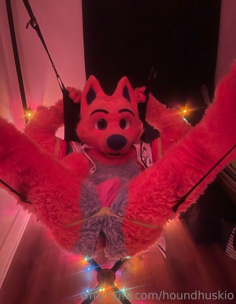 houndhuskio star du porno gratuit galerie