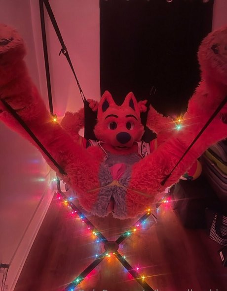 houndhuskio actrice artistique galeries