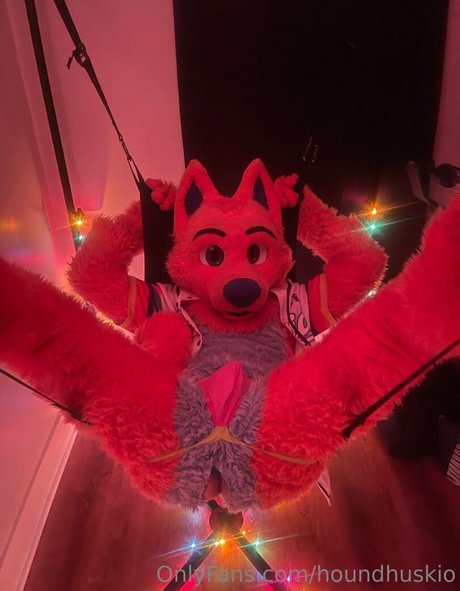 houndhuskio modèle gratuit image