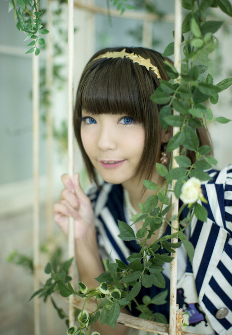 fans asiatiques maigres uniquement parfait exclusif image