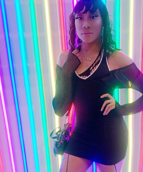 darirose modèle gratuit collection