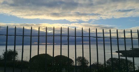 purplemiss étoile gratuite collection