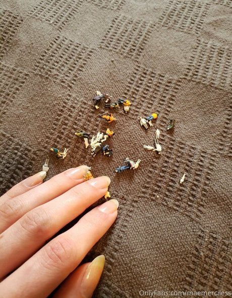 maemerciless étoile sympa des photos