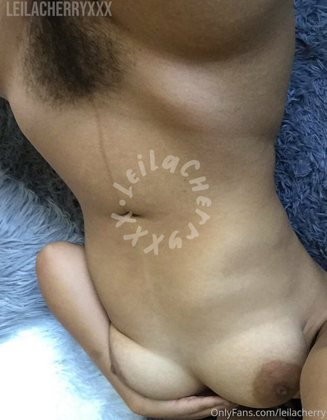 leilacherry art de star du porno photo