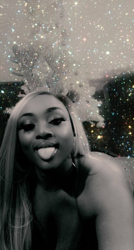 fineapple diva art modèle image