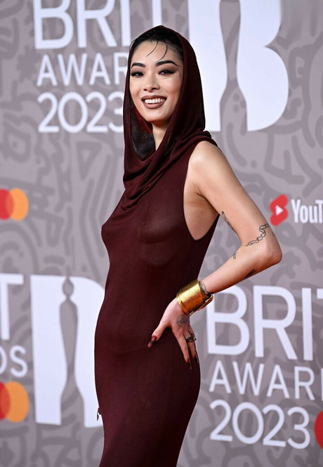 chaton potelé uniquementfans top sympa archive