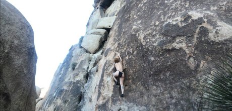 Angelica Danger Dawn étoile hd galeries