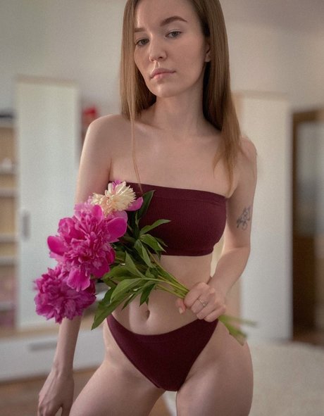 fans en fauteuil roulant uniquement art supérieur images