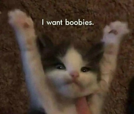 beatskins jolie star du porno galerie