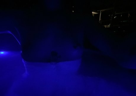 summerlosco star du porno parfaite collection