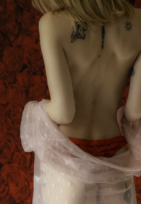 summerlosco actrice de sexe collection