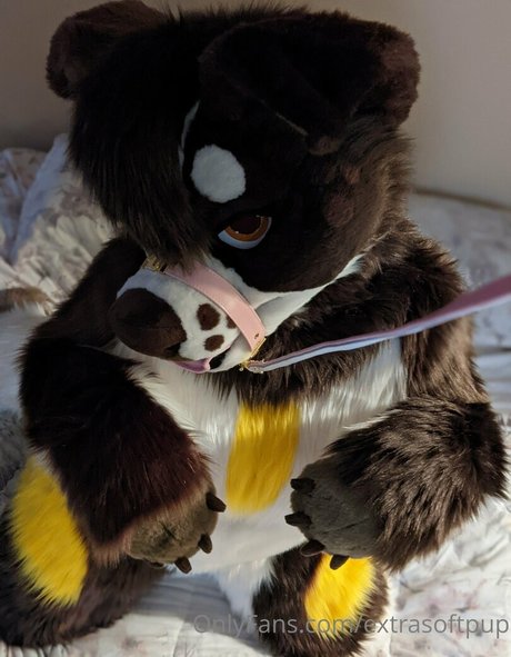 extrasoftpup modèle img