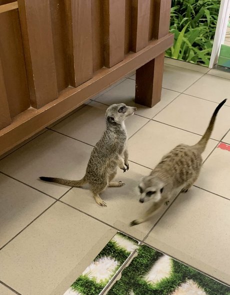 grand-mère onlyfans xxx parfait images