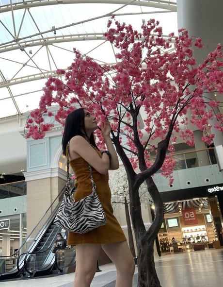 lilu666m modèle joli collection