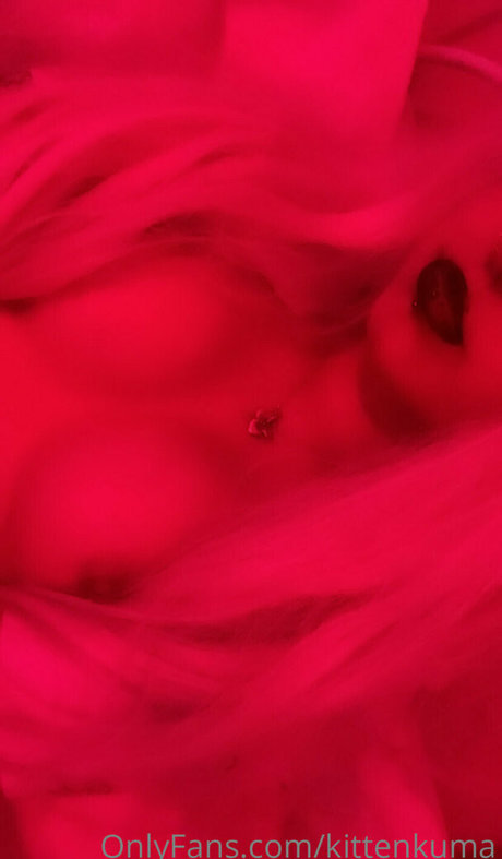 kittenkuma Profilfoto