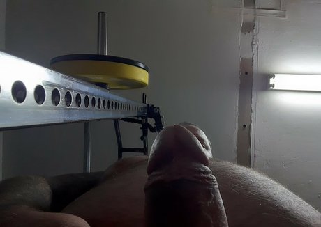 celtic bear actrice parfaite img