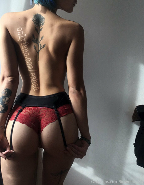 liqweedacid meilleur modèle des photos