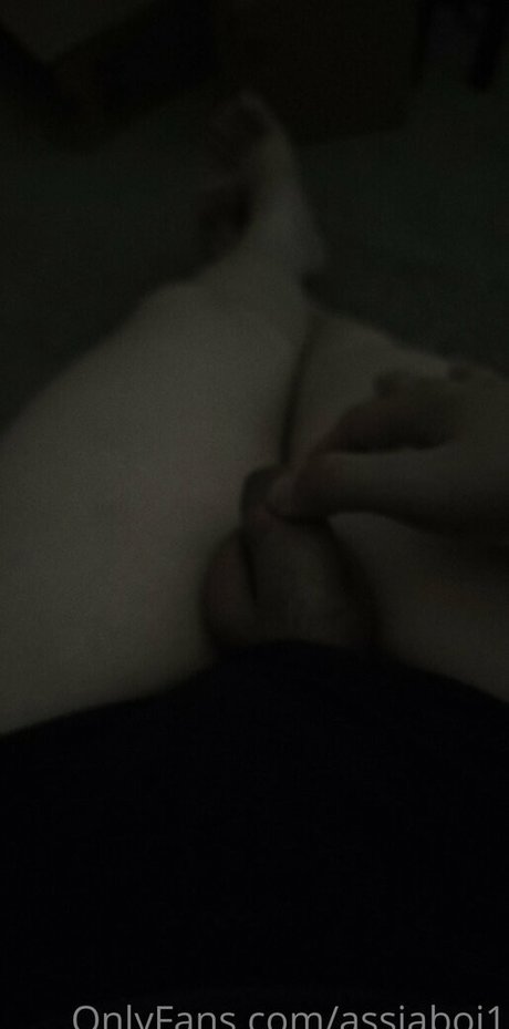 assiaboi1 étoile des photos