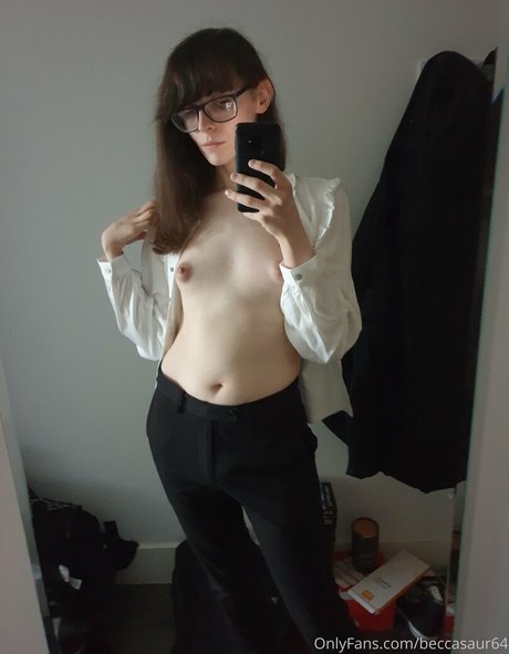 Beccasaur64 joli modèle archive