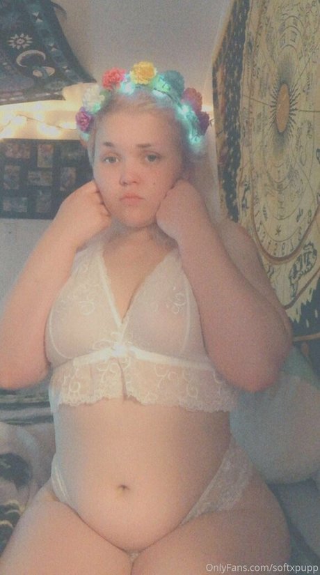 softxpupp étoile sympa galeries