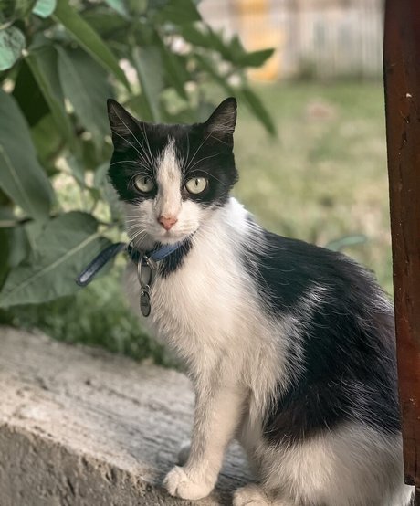 ébène baise onlyfans adulte érotique image