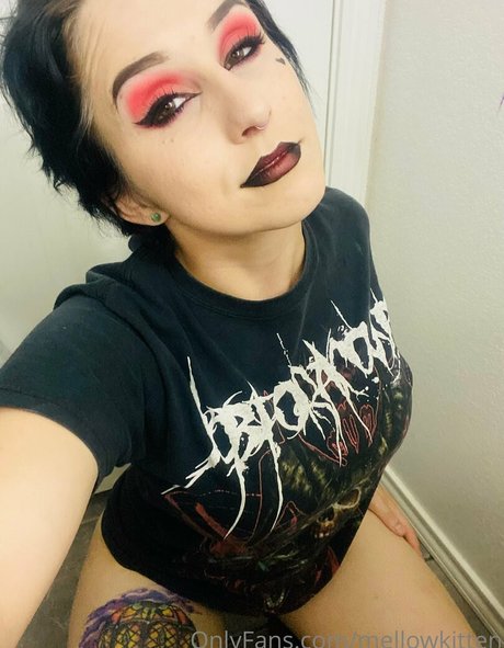 mellowkitten Profilfoto