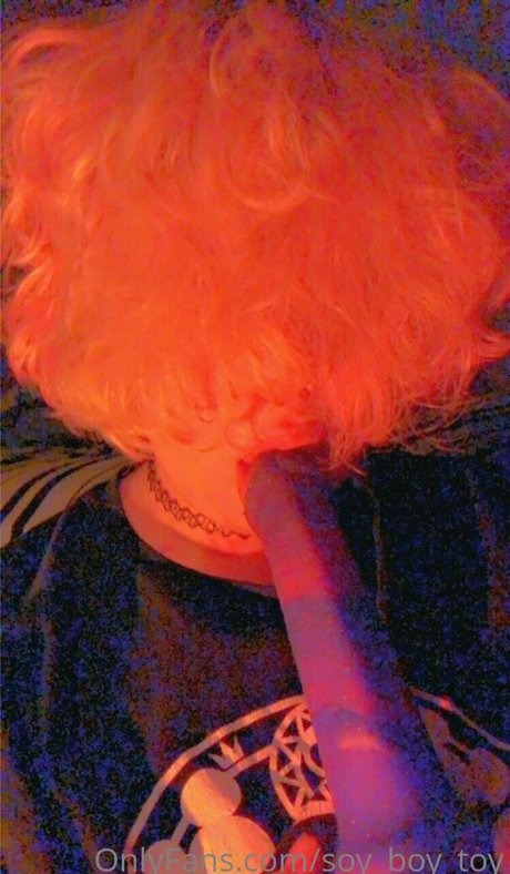 soy boy toy modèle artistique image